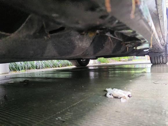 [上海·沪D] 二手林肯林肯大陆2018款 2.0T 两驱尊悦版