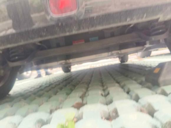 [上海·沪A] 二手欧拉欧拉黑猫2021款 351km 豪华型