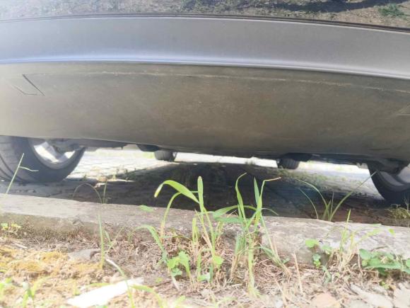 [上海·沪A] 二手特斯拉Model 32021款 标准续航后驱升级版