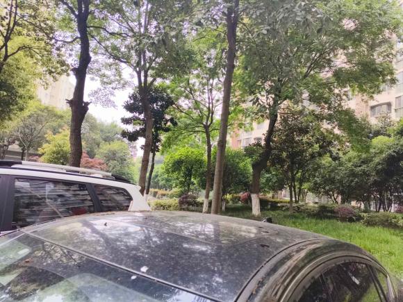 [南京·浙C] 二手红旗红旗H52020款 1.8T 自动智联旗韵版