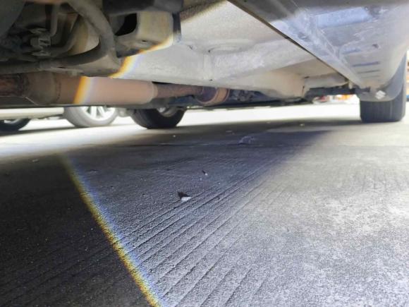 [深圳·鄂A] 二手铃木天语 SX42009款 两厢 1.8L 自动运动型