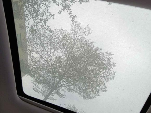 [深圳·粤B] 二手零跑汽车零跑T032022款 星钻版