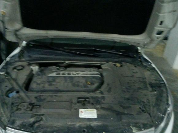 [嘉兴·浙F] 二手吉利汽车帝豪GL2017款 1.3T DCT精英型