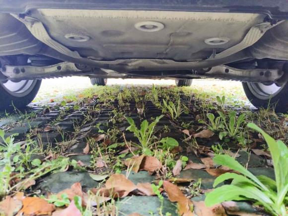 [苏州·苏E] 二手奥迪奥迪A4L2018款 30周年年型 40 TFSI 时尚型