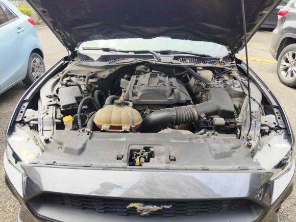 [宁波·浙B] 二手福特Mustang2018款 2.3L EcoBoost