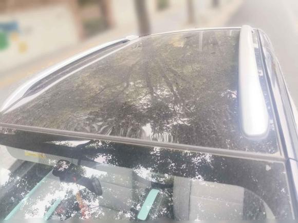 [武汉·鄂A] 二手奇瑞新能源小蚂蚁2021款 15万蚁粉款 蚁炫版 磷酸铁锂