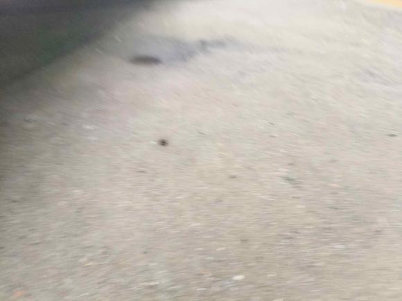 [南京·苏A] 二手五菱汽车五菱征程2021款 1.5T 手动舒适型封窗版