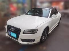 [金华·浙B]奥迪&nbsp;&nbsp;奥迪A5&nbsp;&nbsp;2010款2.0TFSICabriolet