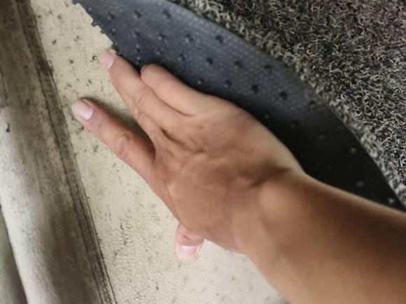 [南京·苏A] 二手日产骊威2010款 劲逸版 1.8L 手动标准型