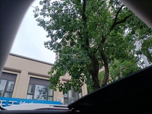 [上海·沪A] 二手比亚迪唐2015款 2.0T 四驱旗舰型