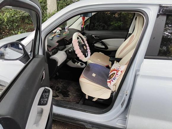 [合肥·皖A] 二手零跑汽车零跑T032022款 皓玉版