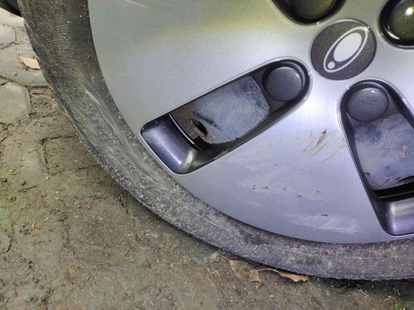 [上海·沪A] 二手欧拉欧拉黑猫2019款 351km 灵趣版