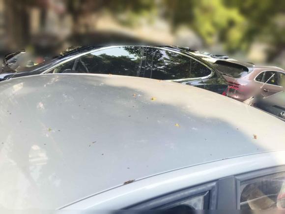 [广州·粤A] 二手大众捷达2017款 1.5L 手动时尚型