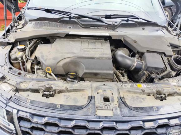 [常州·苏D] 二手路虎揽胜极光2020款 249PS R-DYNAMIC SE 运动科技版