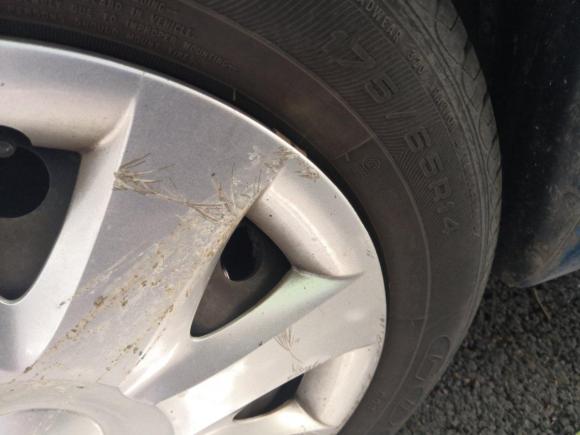 [上海·鄂E] 二手雪佛兰赛欧2013款 三厢 1.4L 手动优逸幸福版