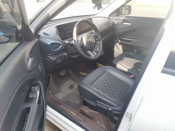 [金华·浙G] 二手欧拉欧拉白猫2020款 401km 旗舰型