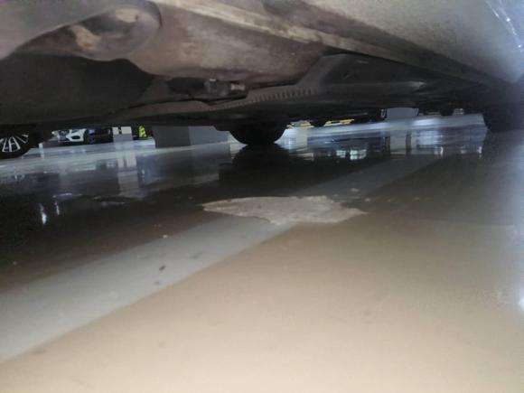 [南京·苏A] 二手斯柯达明锐2017款 1.6L 自动创行版