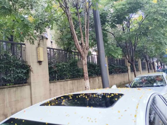 [南京·苏A] 二手别克君威2019款 20T 精英型 国VI