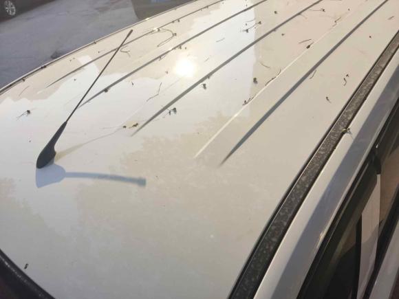 [义乌·浙G] 二手五菱汽车五菱宏光2019款 1.5L S基本型国VI LAR