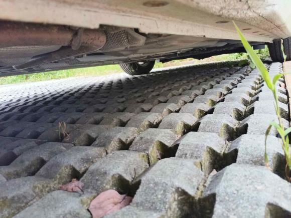 [嘉兴·浙F] 二手福特福睿斯2019款 1.5L 自动质享型