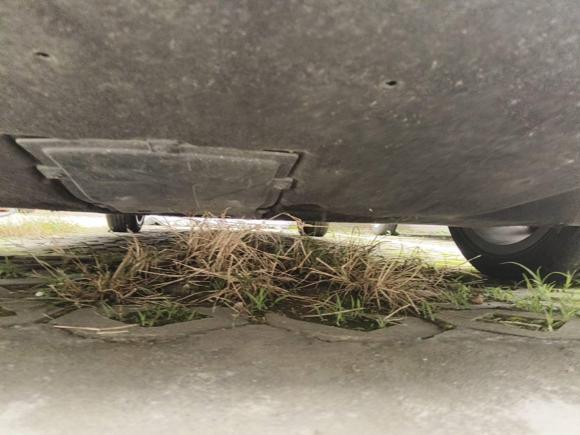 [成都·川A] 二手红旗红旗H52022款 经典款 1.8T 自动智联旗领版