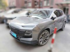 [上海·皖B] 捷途捷途大圣2023款 1.6T DCT王者MAX