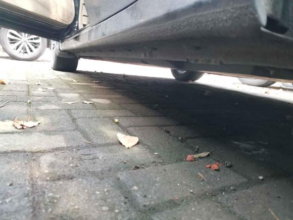 [苏州·苏E] 二手本田凌派2013款 1.8L 手动舒适版