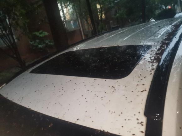 [武汉·鄂A] 二手力帆汽车迈威2017款 1.8L 自动尊享型