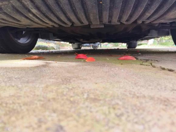 [义乌·浙G] 二手奔驰奔驰E级2010款 E 200 CGI 优雅型