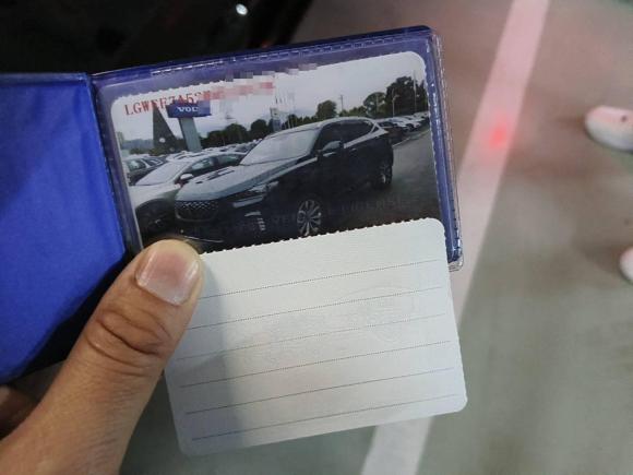 [温州·浙C] 二手魏牌魏牌 VV62020款 2.0T 两驱智护+