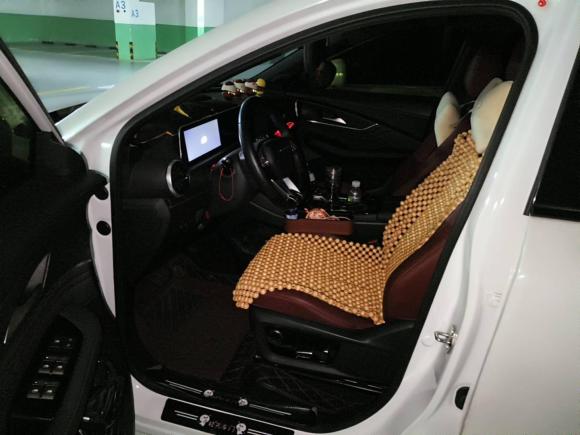 [成都·川A] 二手东风风行风行T5 EVO2021款 1.5TD DCT星耀版