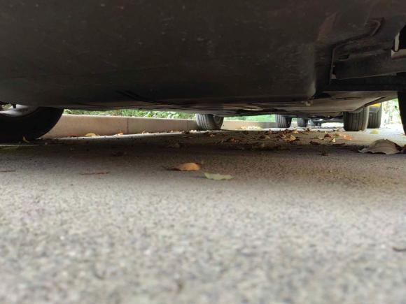 [上海·沪F] 二手大众Polo2019款 Plus 1.5L 自动炫彩科技版