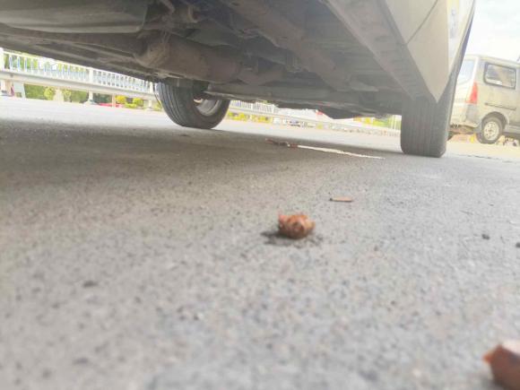 [金华·浙G] 二手宝骏宝骏5302018款 1.5T 手动豪华型 国V