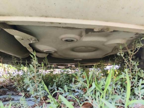 [上海·沪C] 二手大众Polo2016款 1.4L 手动风尚型