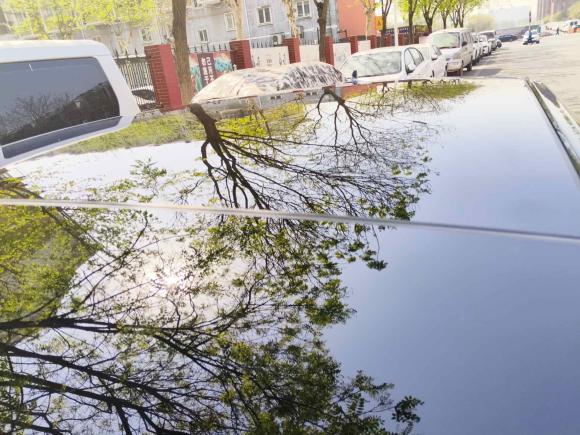 [北京·京A] 二手奥迪奥迪A6L2023款 改款 45 TFSI quattro 臻选致雅型