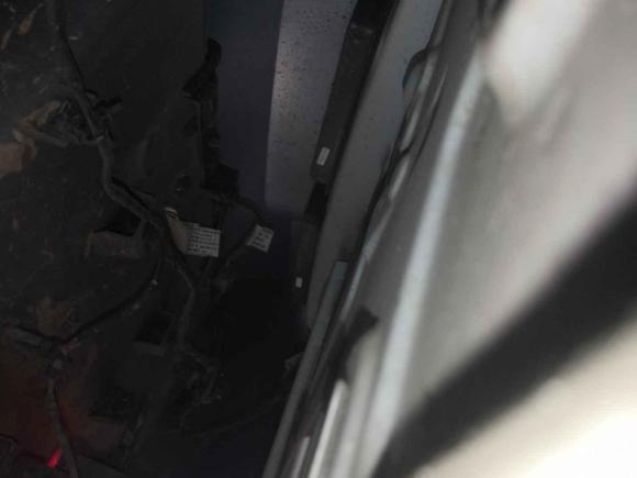 [成都·川A] 二手欧拉欧拉黑猫2019款 351km 亲子版