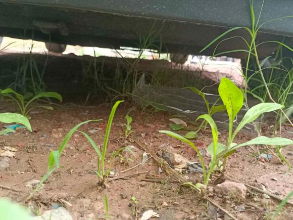 [佛山·粤Y] 二手现代悦动2011款 1.6L 自动豪华型