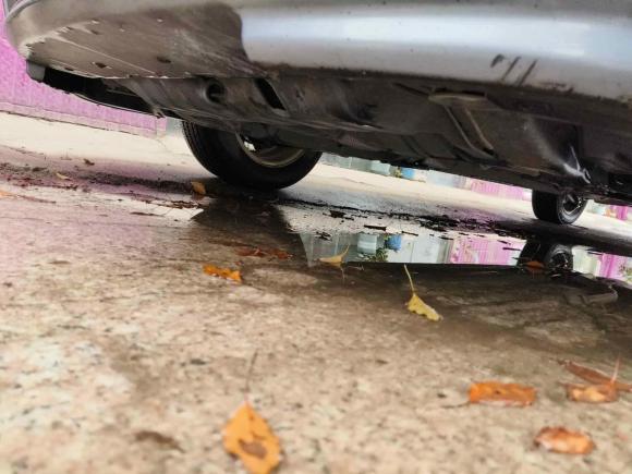 [上海·鲁N] 二手起亚赛拉图2012款 1.6L MT GL