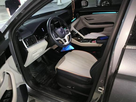 [南京·苏A] 二手比亚迪宋PLUS新能源2021款 EV 尊贵型