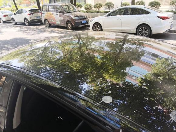 [温州·浙A] 二手特斯拉Model 32022款 后轮驱动版