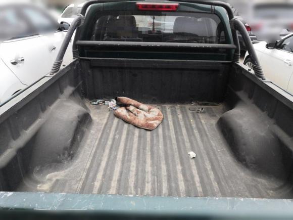 [合肥·皖A] 二手长城风骏52013款 2.0T欧洲版 两驱精英型 6MT大双排GW4D20B