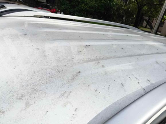 [上海·沪C] 二手长安欧尚长安欧尚科赛2020款 1.5T 自动风尚型 7座