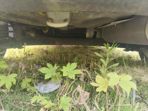 [合肥·皖A] 二手北京汽车北京X32019款 1.5T 手动荣耀版