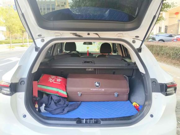 [上海·苏U] 二手东风风行风行T5 EVO2021款 1.5TD DCT钻石版