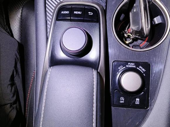 [上海·沪D] 二手雷克萨斯雷克萨斯RX2016款 300 两驱精英版 国V