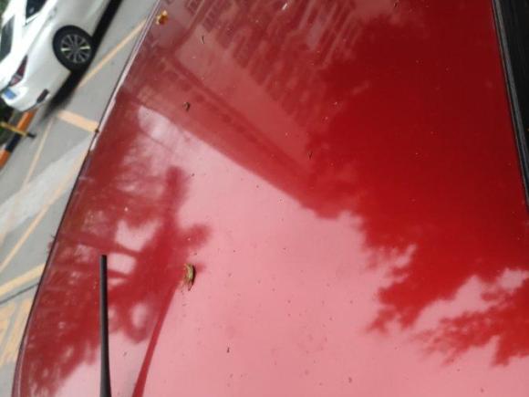 [深圳·粤B] 二手铃木雨燕2009款 1.3L 自动超值版