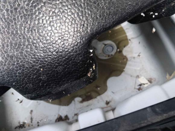 [义乌·浙G] 二手吉利汽车帝豪新能源2019款 EV500 进取型标准续航版