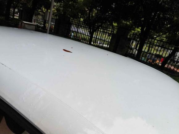 [成都·川A] 二手零跑汽车零跑T032023款 310轻享版