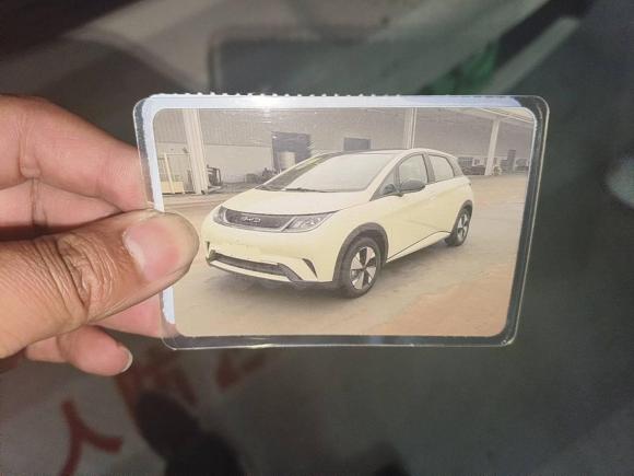 [合肥·皖A] 二手比亚迪海豚2023款 420km 时尚版