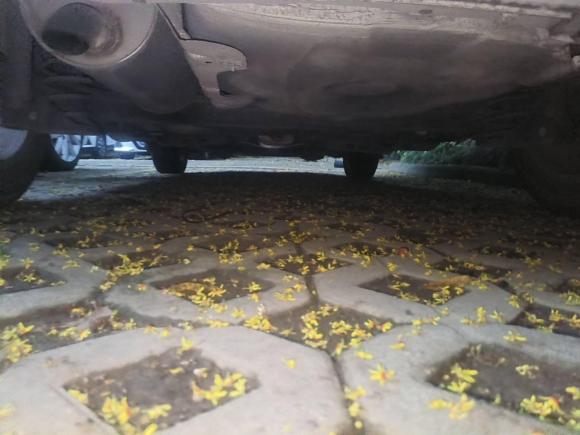 [嘉兴·浙F] 二手斯柯达晶锐2017款 1.4L 自动车享版